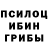 Псилоцибиновые грибы GOLDEN TEACHER Hogging Pig