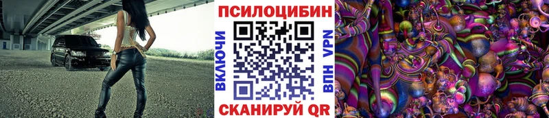 Купить где  Невьянск  Псилоцибиновые грибы GOLDEN TEACHER 